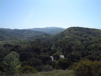 DSCF0021