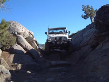 rubi46