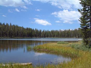 DSCF0037