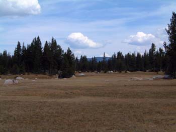 DSCF0042