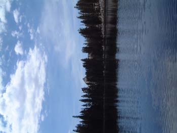 DSCF0048